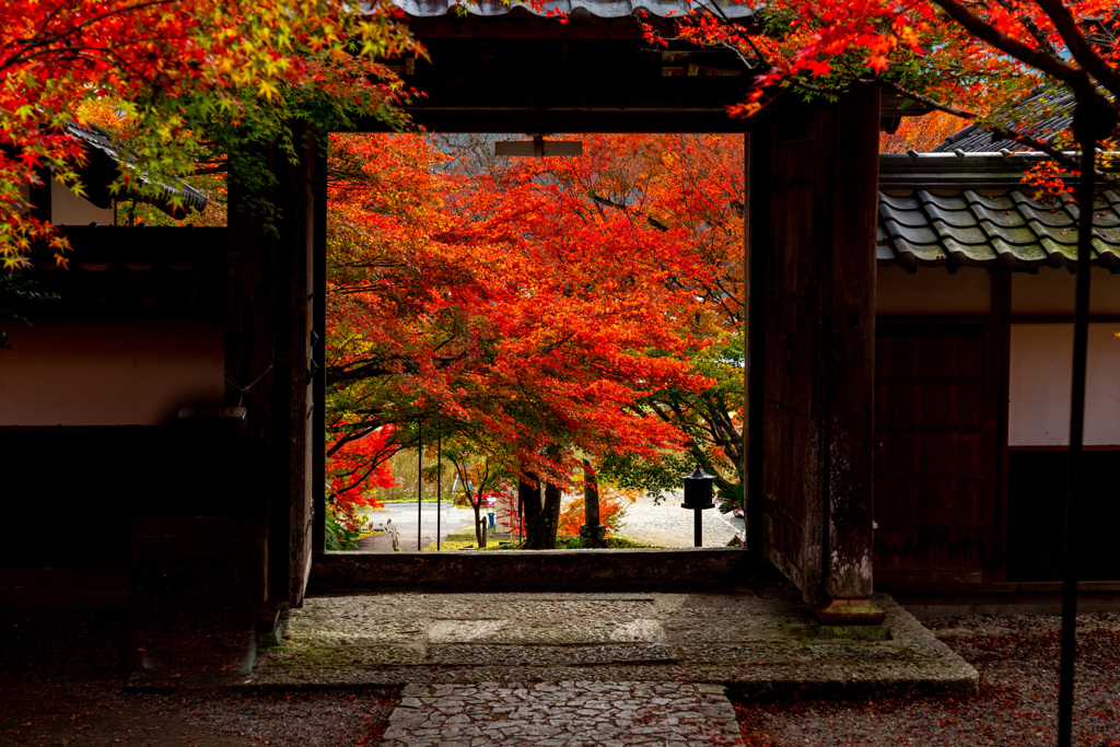 円通寺山門