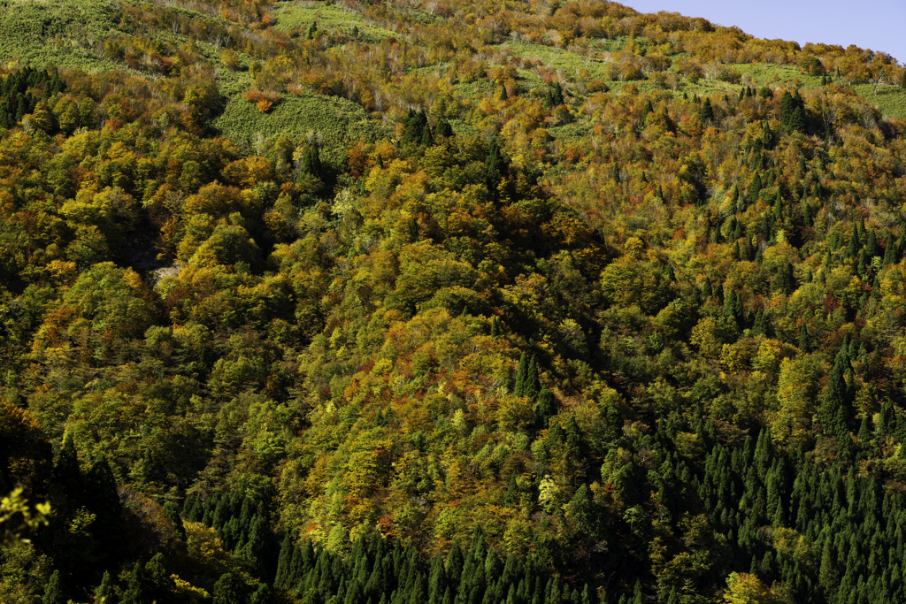 氷ノ山・横行渓谷−１