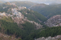 吉野山花矢倉