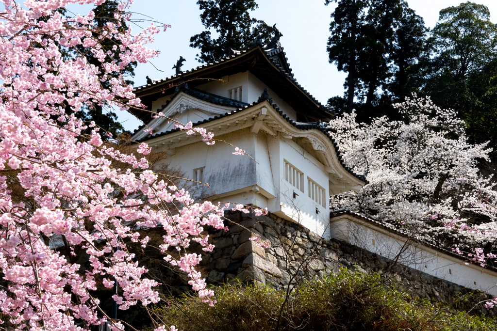 出石城