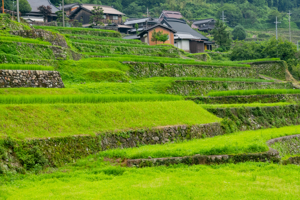 岩座神棚田