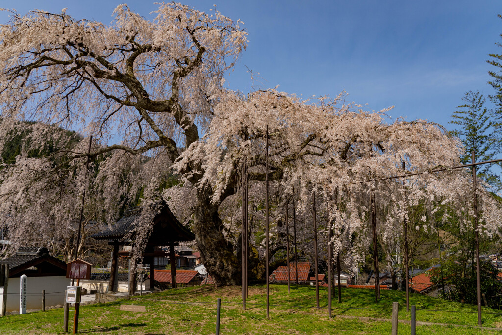 泰雲寺−１