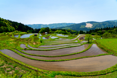 別宮の棚田