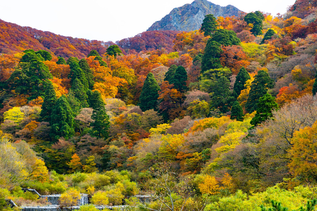 大山寺橋からの大山