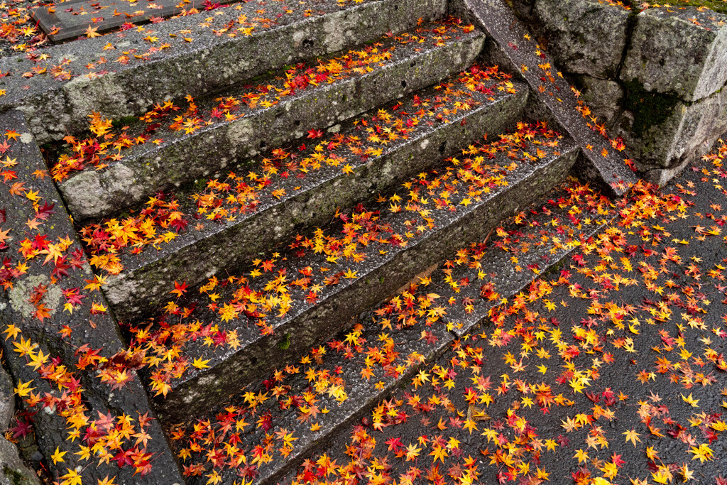 石段の紅葉