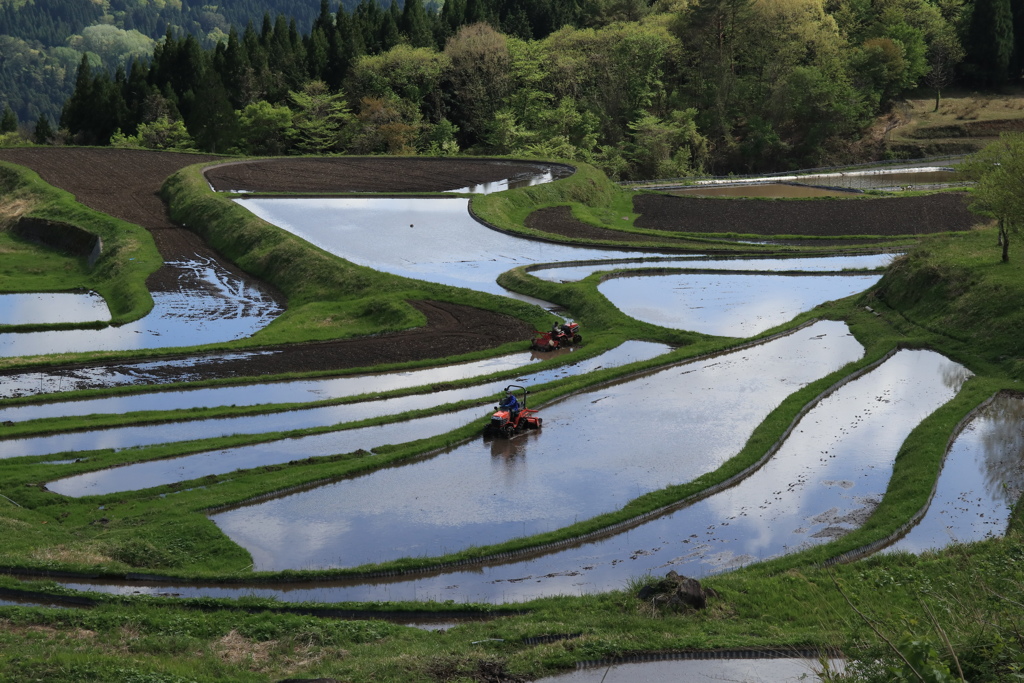 田植えの準備