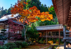 金剛城寺