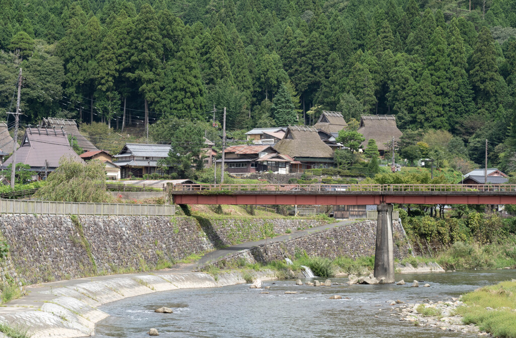 由良川源流域