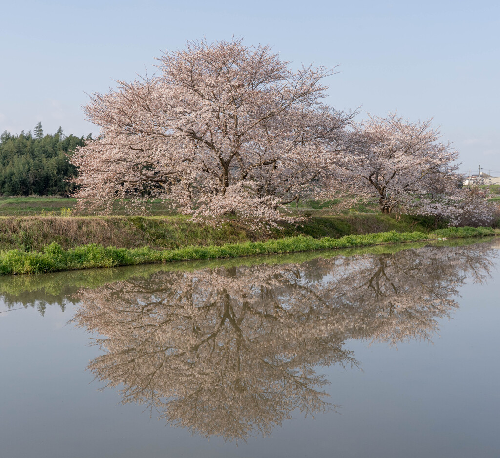 草谷川堤−４