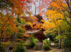 石峯寺２