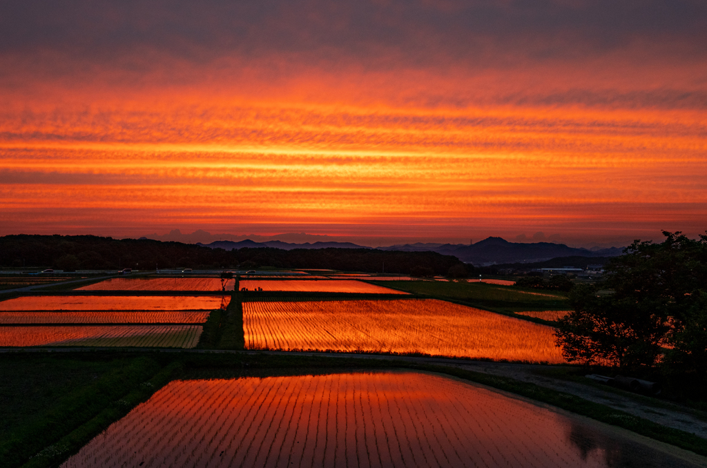 今日の夕焼け