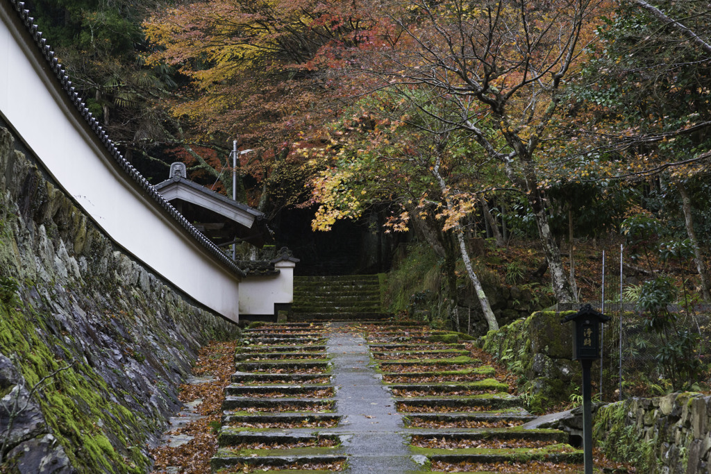 荘厳寺