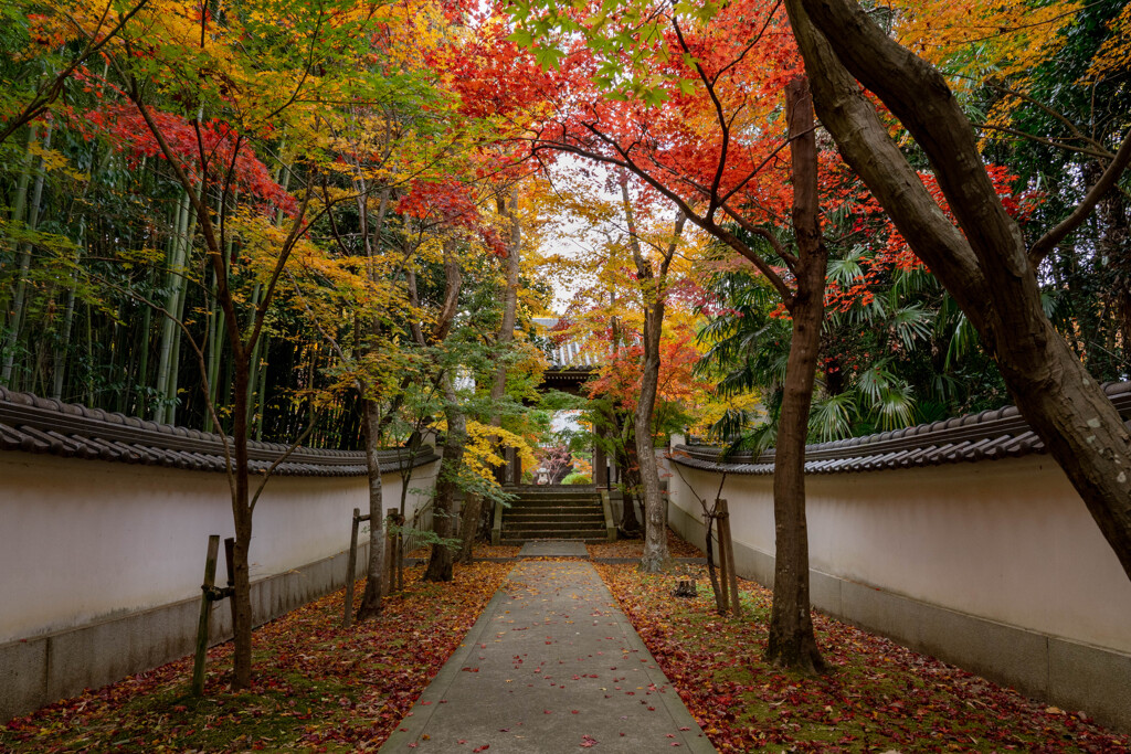 慈眼寺