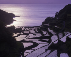 浜野浦の棚田