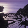 浜野浦の棚田