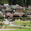 美山の四季ー春２