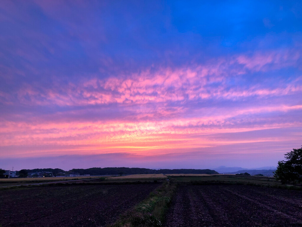 昨夜の夕景