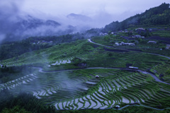 丸山千枚田