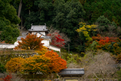 出石城