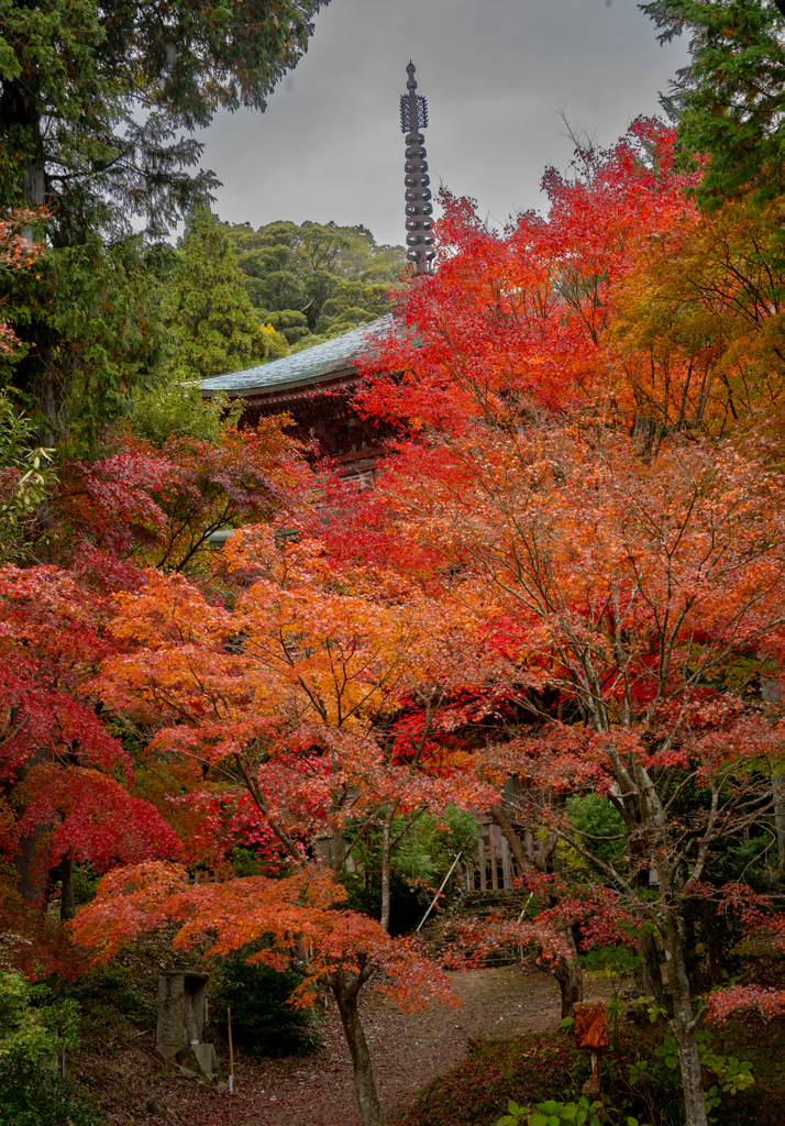 石峯寺３