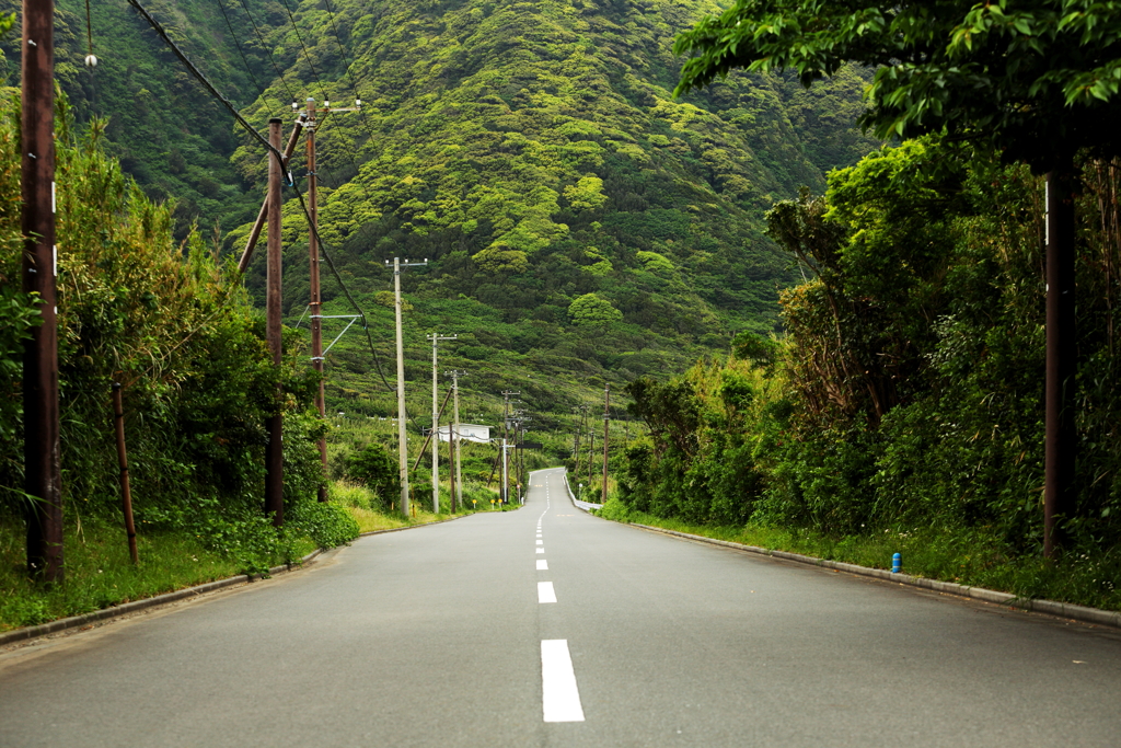 緑の島