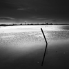海