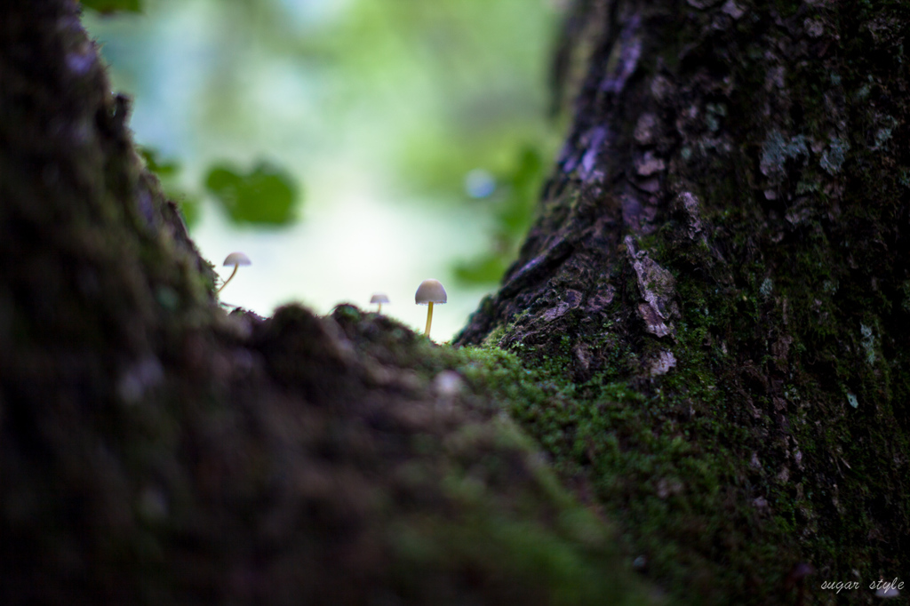 small world