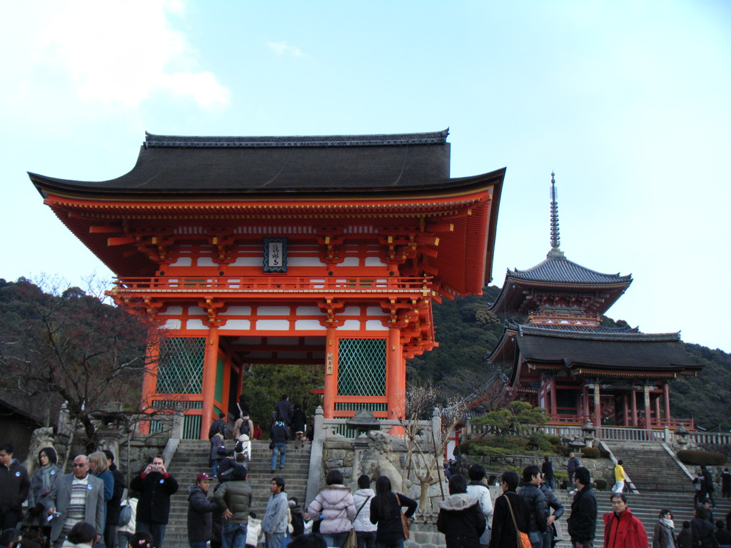 DSCF4181