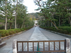 P1010996