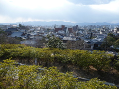 P1020002