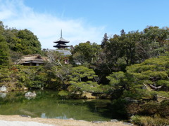 P1020099