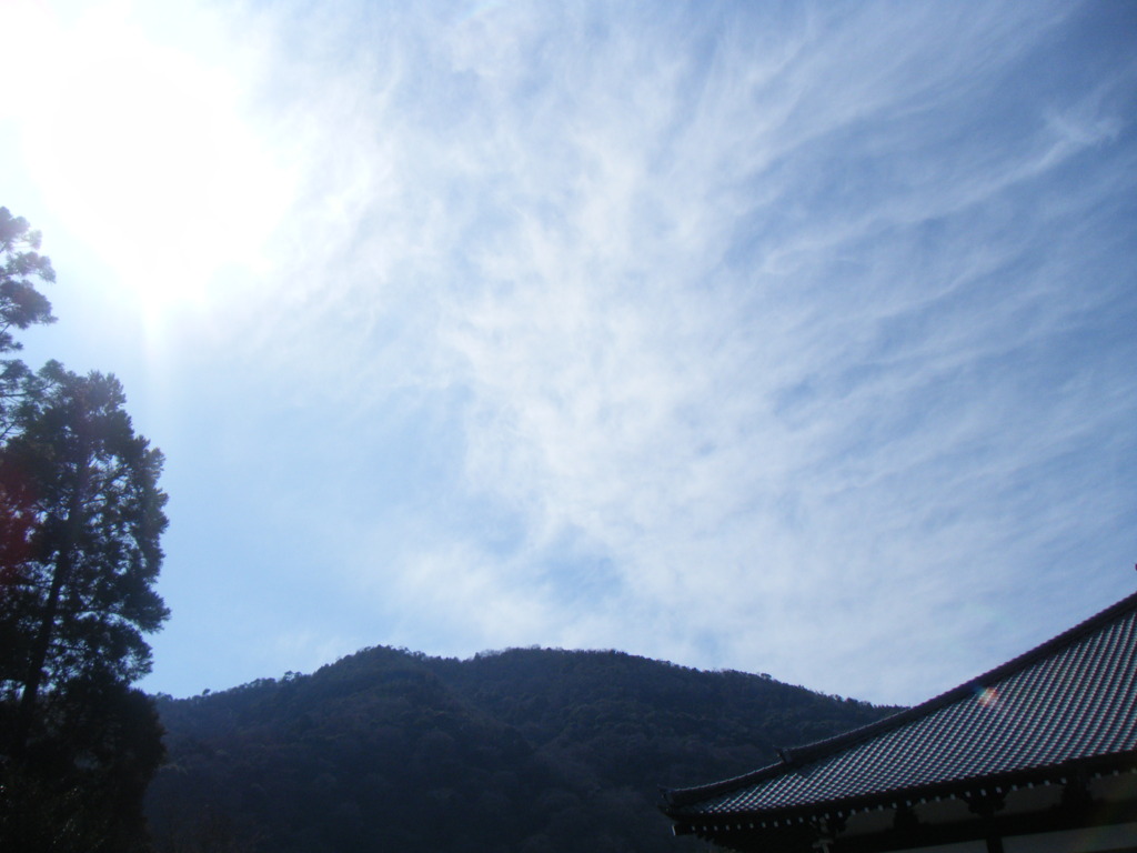 DSCF4263