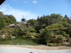 P1020098