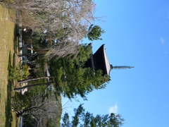 P1010700