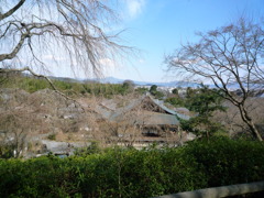 P1010715