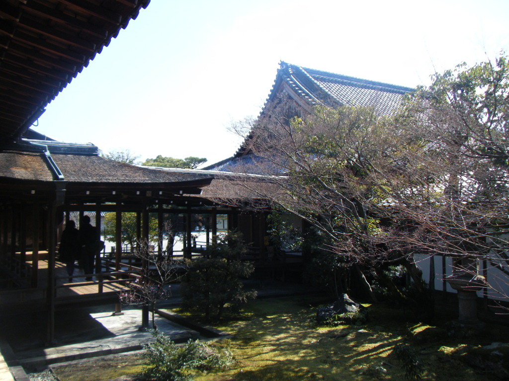 DSCF4245