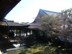 DSCF4245