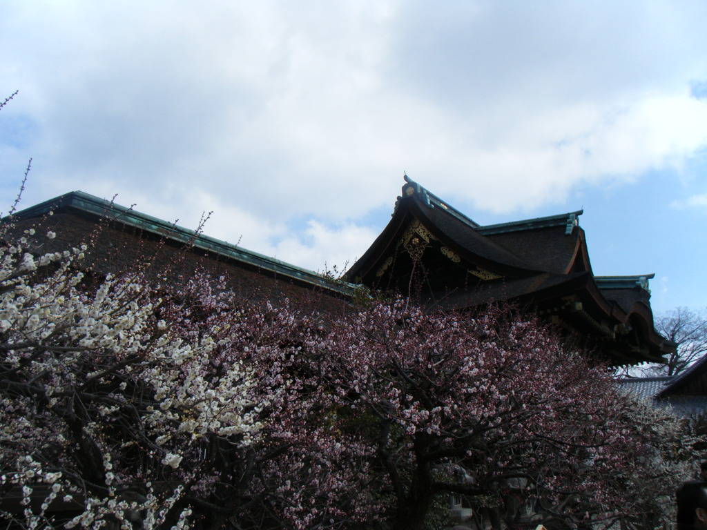 DSCF4242