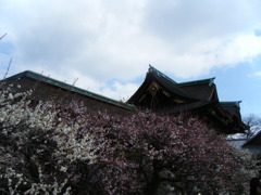 DSCF4242