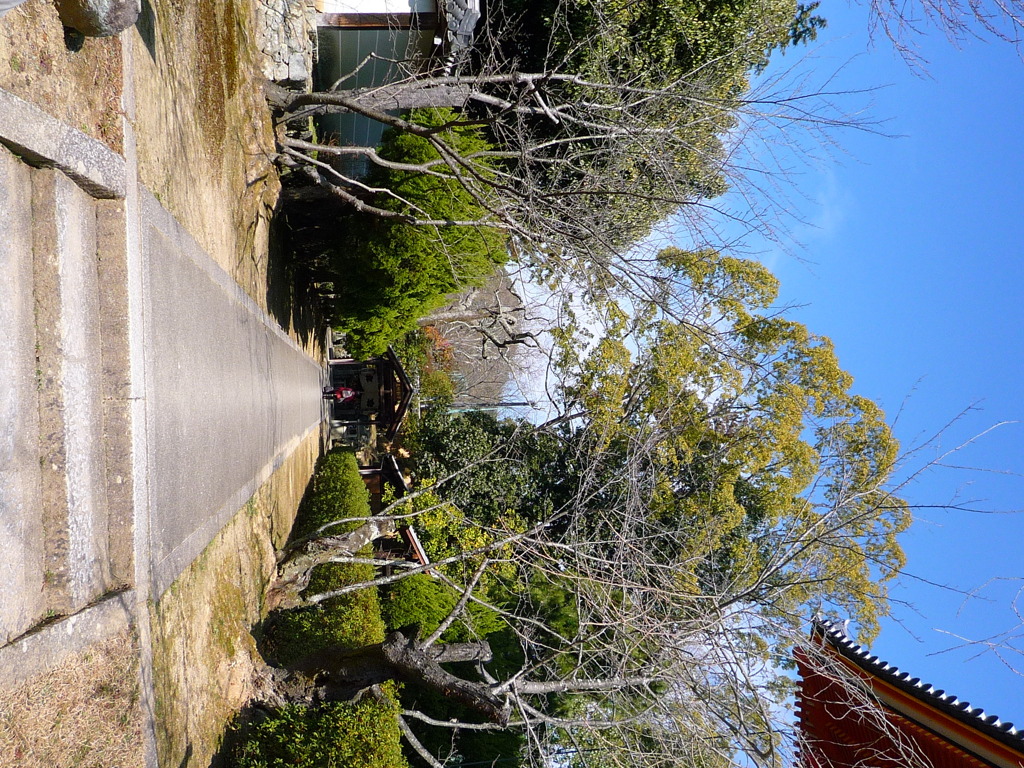 P1010703