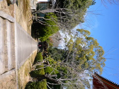 P1010703