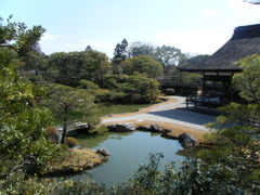 DSCF4256