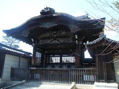 DSCF4244