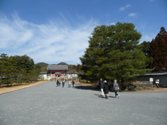 P1020096