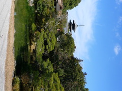 P1010697