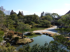 P1020101