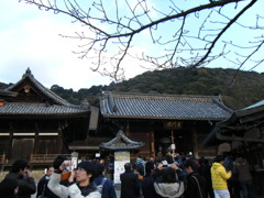 DSCF4184