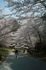 通学路