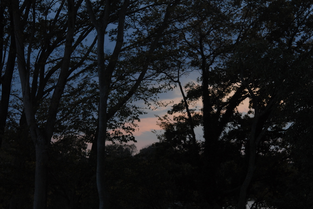 2009.11.15矢作の夕景