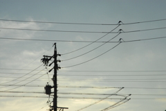 電線